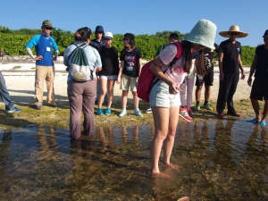 東沙島北岸潮間帶生態觀察，讓學員們實際體會東沙島海草床的特殊生態。
